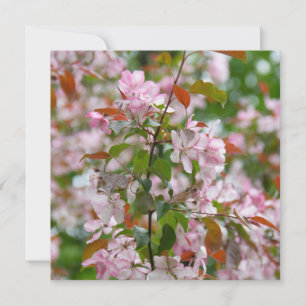 Delicate tak met bloemen appelboom kaart