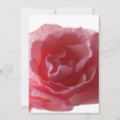 Delicate & Unique Wedding Invitation Kaart Roos (Achterkant)