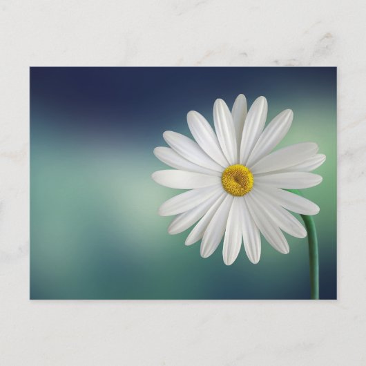 Delicate White Daisy Briefkaart (Voorkant)
