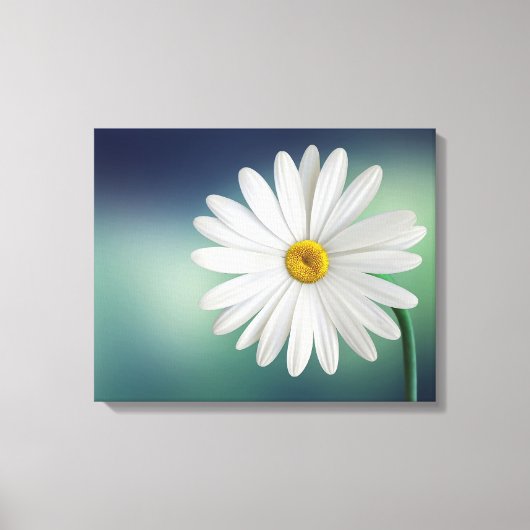 Delicate White Daisy Canvas Afdruk (Voorkant)