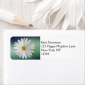 Delicate White Daisy Etiket (Insitu)