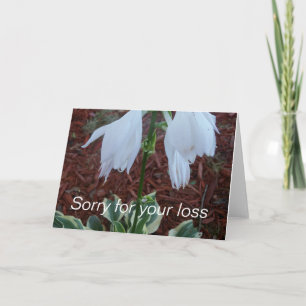 Delicate witte Sun Hosta bloemen op een condoleanc Kaart