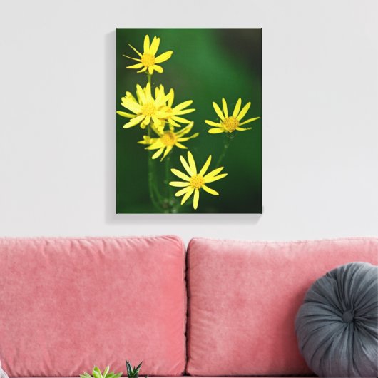 Delicate Yellow Daisy Wildbloemen Canvas Afdruk (Insitu (Woonkamer))