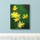Delicate Yellow Daisy Wildbloemen Canvas Afdruk (Insitu (Houten vloer))