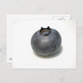 Delicious Blueberry Briefkaart (Voorkant / Achterkant)