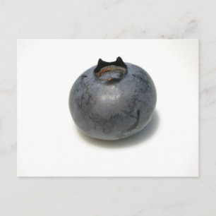 Delicious Blueberry Briefkaart