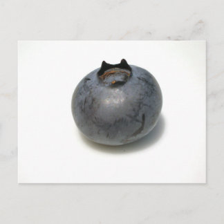 Delicious Blueberry Briefkaart