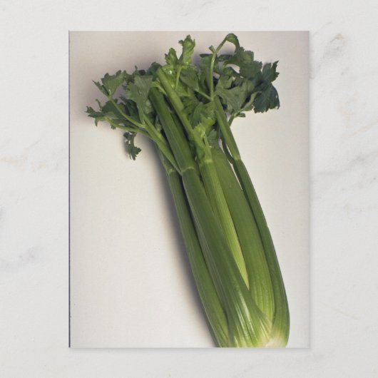 Delicious Celery stalk Briefkaart (Voorkant)