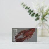Delicious Lobster Visitekaartje (Staand voorkant)