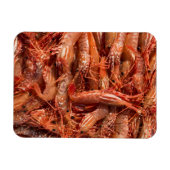 Delicious Prawns Magneet (Horizontaal)