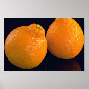 Delicious Tangerines Poster