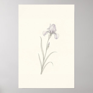 Delige iris schets minimalistische botanische wand poster