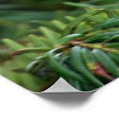 Delight van natuur poster (Hoek)