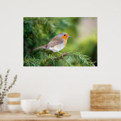 Delight van natuur poster (Keuken)