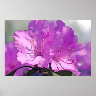 Delightful Lavender Poster