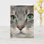 Délivrance de chat de Greyfoot - ces yeux - carte (Fleur jaune)