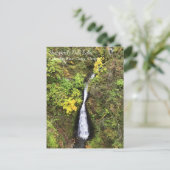 Dell-Herfsten van Shepperd, Columbia River Gorge,  Briefkaart (Staand voorkant)