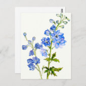 Delphinines bleus dans carte postale aquarelle (Devant / Derrière)