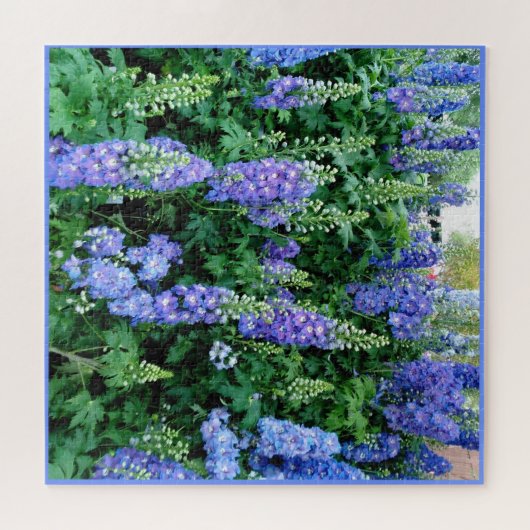 Delphinium belles fleurs bleues puzzle puzzle (Horizontal)