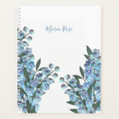 Delphinium bleu (Devant)