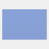 Delphinium Gingham Inpakpapier Vel (Voorkant 2)