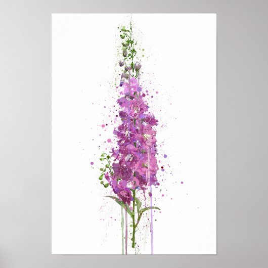 Delphiniums Poster (Voorkant)
