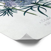 Delphiniums, van de "damestuin" poster (Hoek)