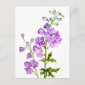 Delphiniums violets dans la carte postale aquarell (Devant)
