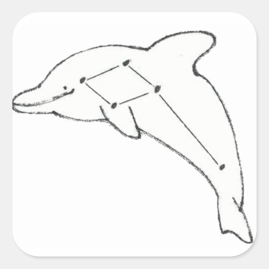 Delphinus Airways Sticker (Voorkant)