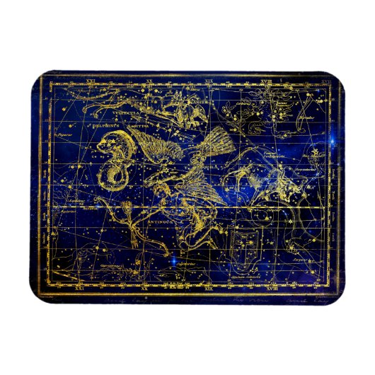 delphinus constellation magnet magneet (Horizontaal)