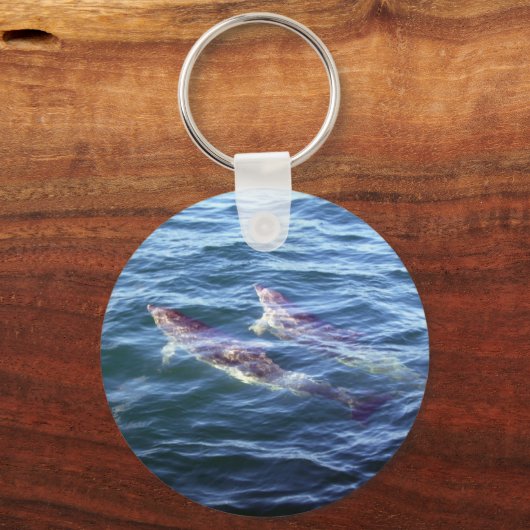 Delphinus delphis sleutelhanger (Voorkant)