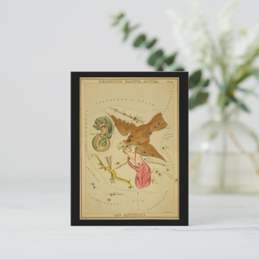 Delphinus, Sagitta, Aquila en Antinous Briefkaart (Staand voorkant)