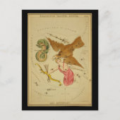 Delphinus, Sagitta, Aquila en Antinous Briefkaart (Voorkant)