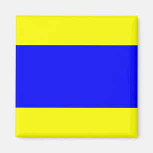 Delta Yellow Blue Magneet