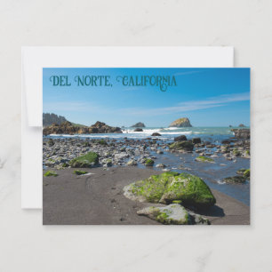 DeMartin Beach Del Norte Californië Briefkaart