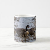 Déménager Dans La Mug De Café (Centre)