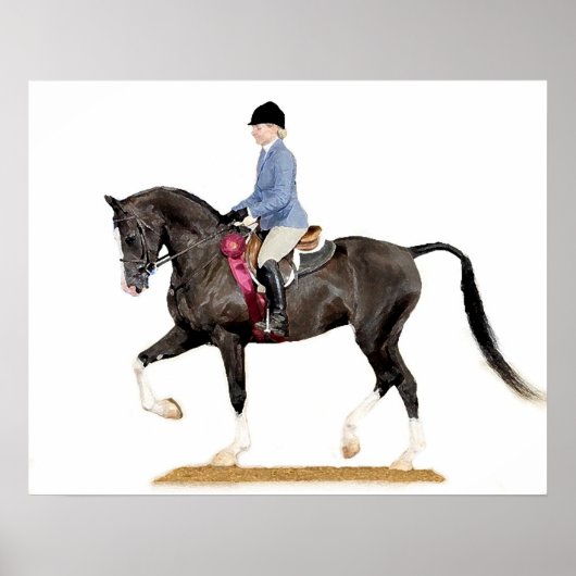 Demi-Arabian Hunter Plaisir Horse Poster Imprimer (Devant)