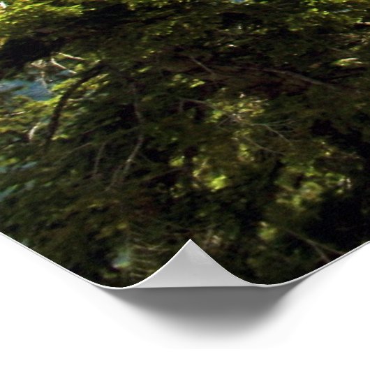 Demi-Dôme, Poster Yosemite (Coin)