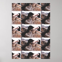 Demi Lowe Dans Colorado Poster 2