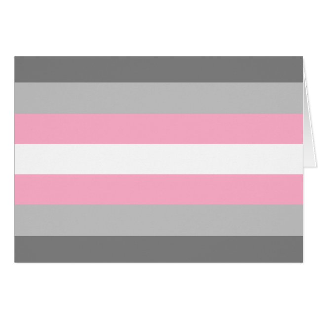 Demigirl Pride Flag (Voorkant Horizontaal)