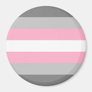 Demigirl Pride Vlag Magneet