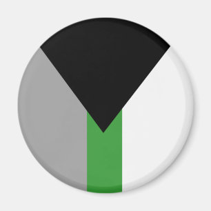 Demiromantische Pride-vlag Magneet