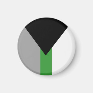Demiromantische Pride-vlag Magneet