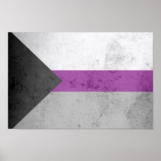 DEMISEXUT PRIDE FLAG POSTER (Voorkant)
