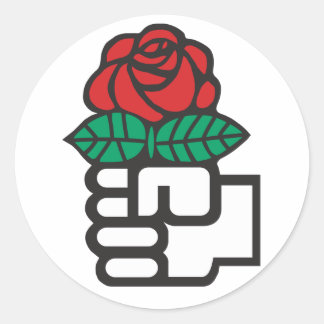 Democratisch Socialisme (De eerste en Roos Symbool Ronde Sticker