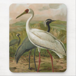 Demoiselle en Siberian Cranes Bird Muismat