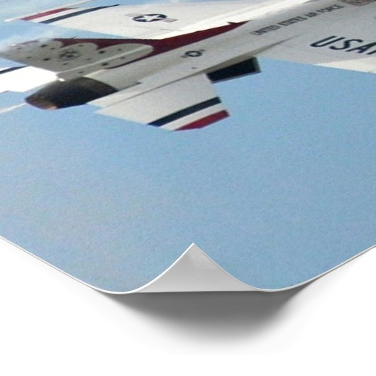 Demonstratieteam voor undervogelvlucht poster (Hoek)