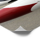 Demonstratieteam voor undervogelvlucht poster (Hoek)