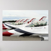 Demonstratieteam voor undervogelvlucht poster (Voorkant)