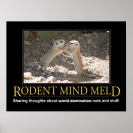 Demotivationeel Poster: Squirrel Mind Meld Poster